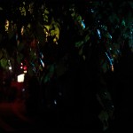 13-Grimoires en lumières